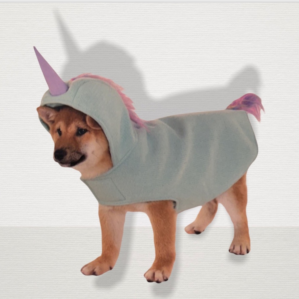 Unicorn Costume for Cats/Dogs